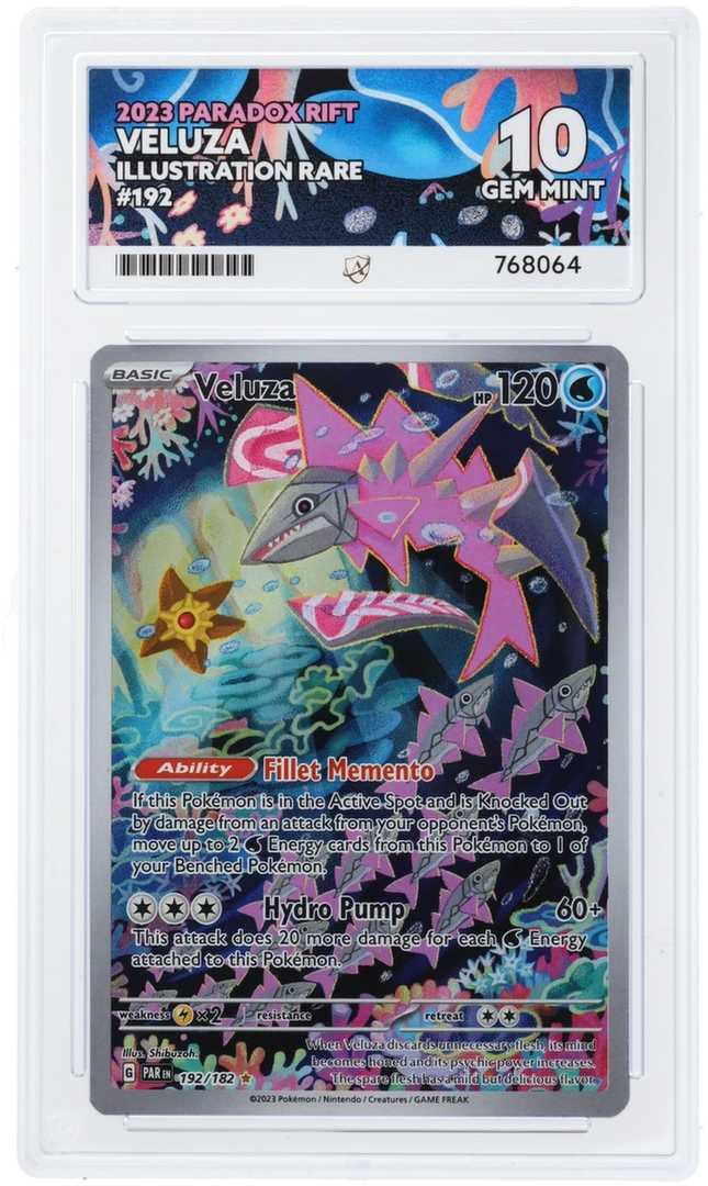 Veluza - ACE 10   (Front)